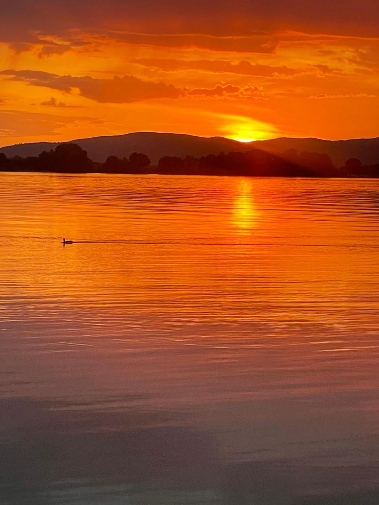 Elgringo Clisura Dunarii Moldova Noua Bagian luar foto